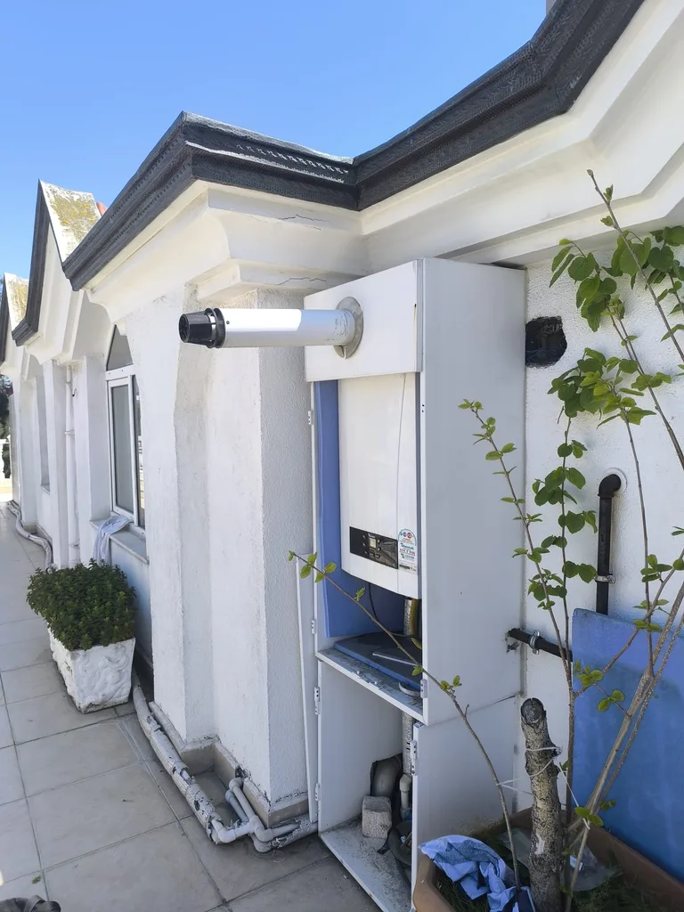 Bakırköy Cevizlik kapak görseli