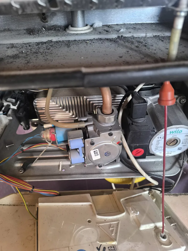 Servis görseli
